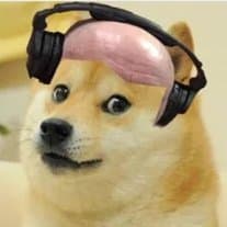 DogeBrogan